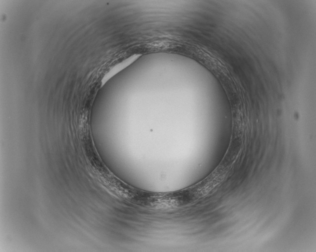 X0000070880601200607150148