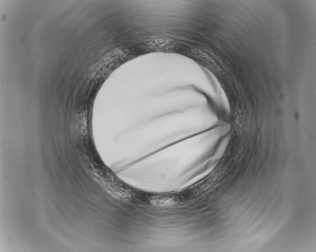 X0000070880602200607150148