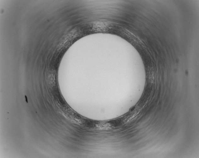 X0000070880603200607150148