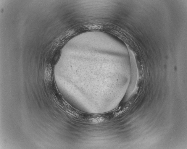 X0000070880604200607150148