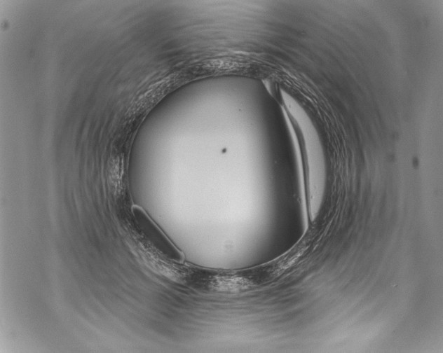 X0000070880605200607150148