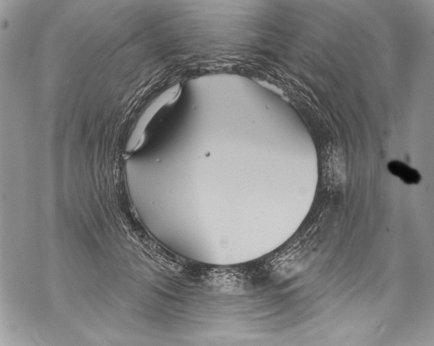 X0000070880608200607150148