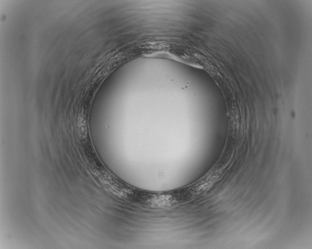 X0000070880609200607150148