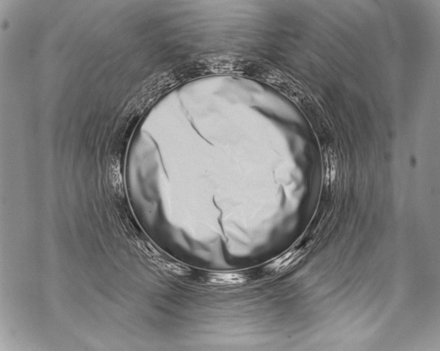 X0000070880610200607150148