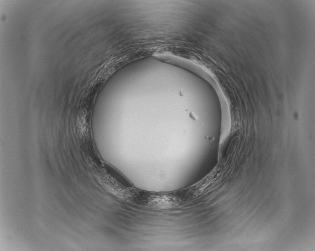 X0000070880611200607150148