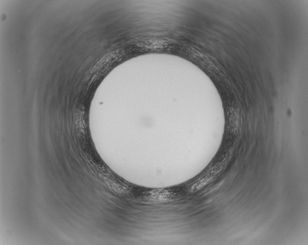 X0000070880612200607150148