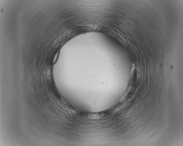 X0000070880613200607150148