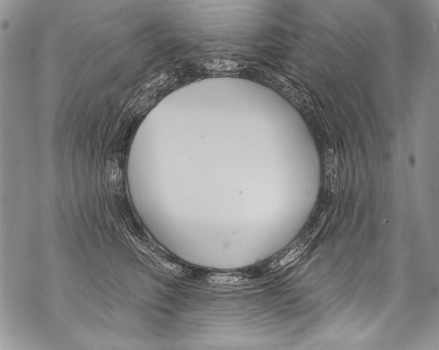 X0000070880614200607150148