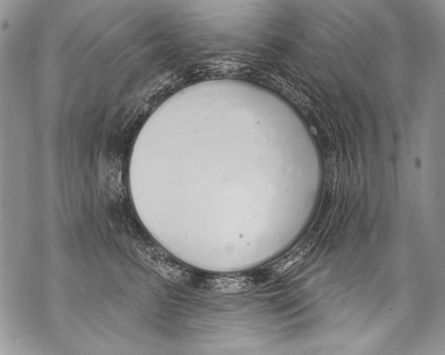 X0000070880615200607150148