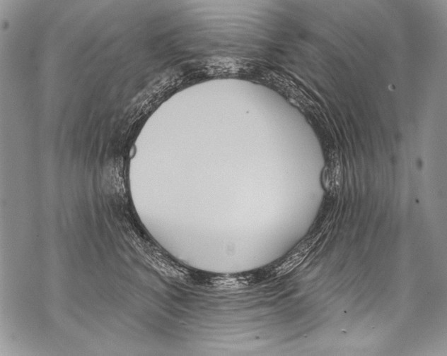 X0000070880616200607150148