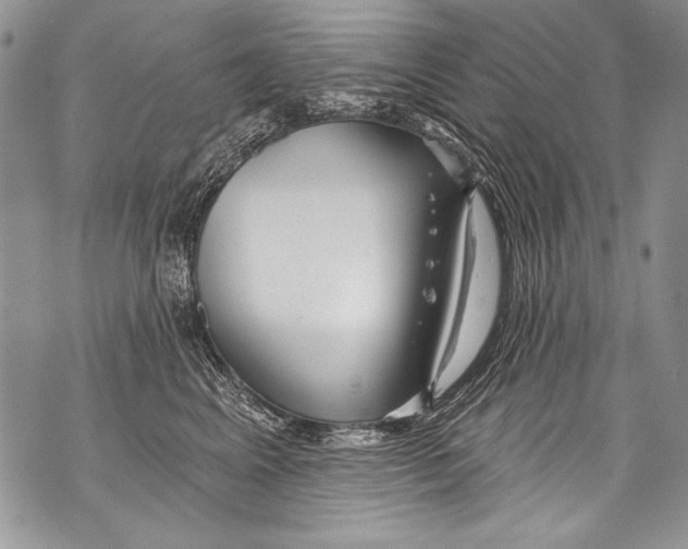 X0000070880617200607150148