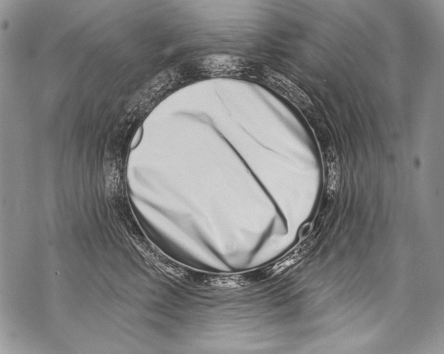 X0000070880618200607150148