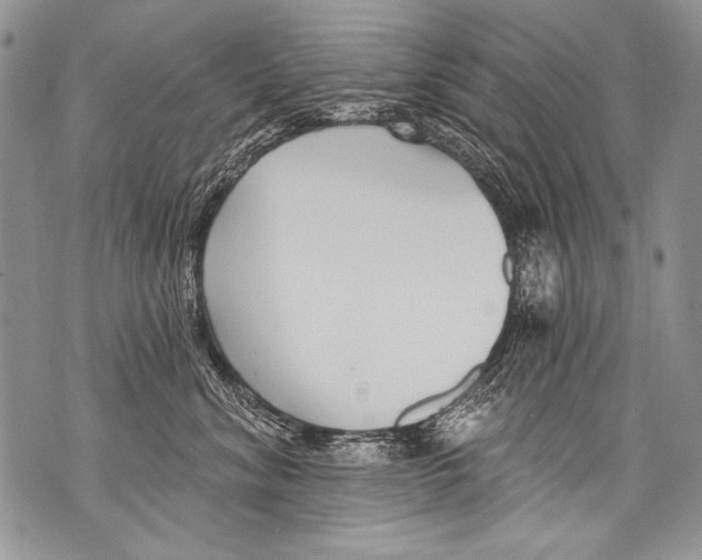 X0000070880620200607150148