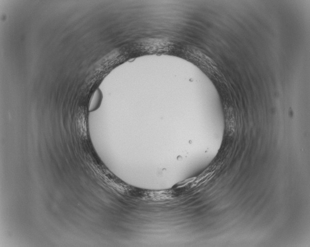 X0000070880622200607150148