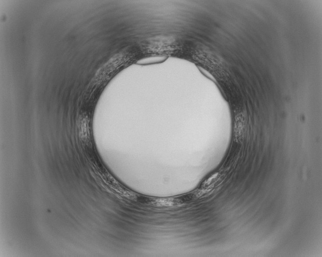 X0000070880623200607150148