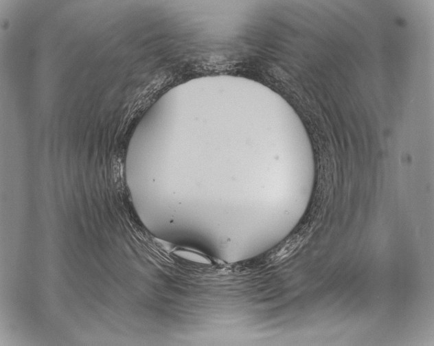 X0000070880624200607150148