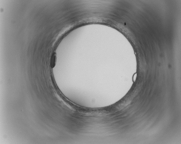 X0000070880625200607150147