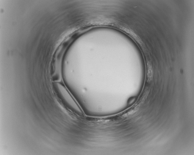 X0000070880626200607150147