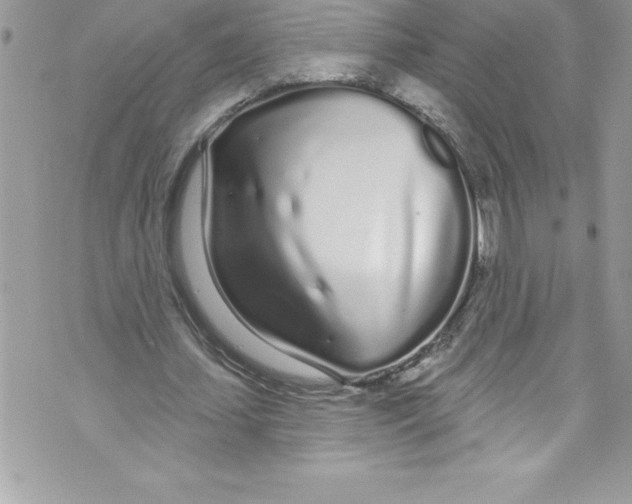 X0000070880627200607150147