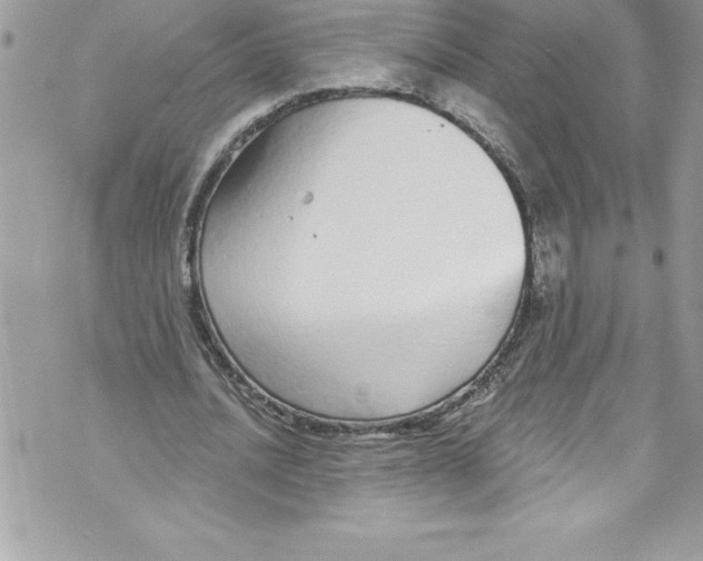 X0000070880628200607150147