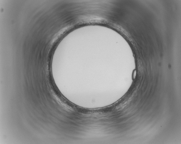 X0000070880629200607150147