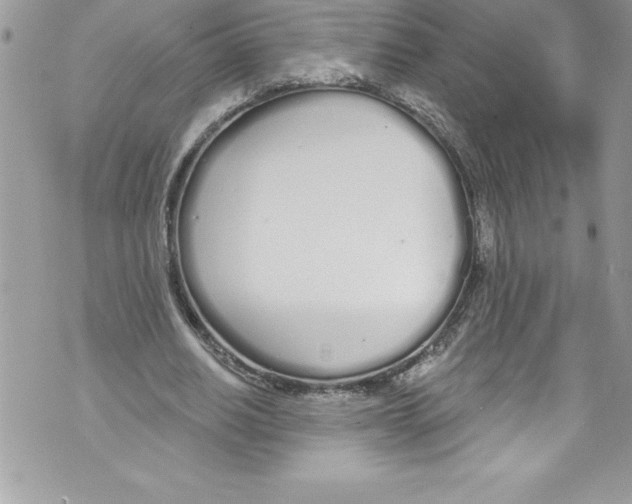 X0000070880630200607150147