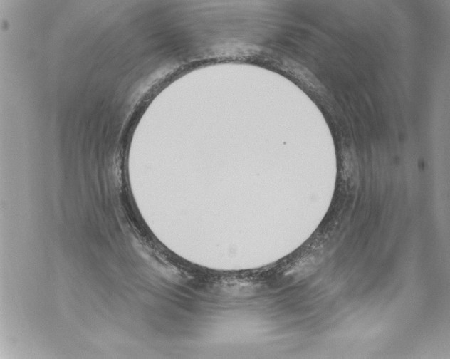 X0000070880632200607150147