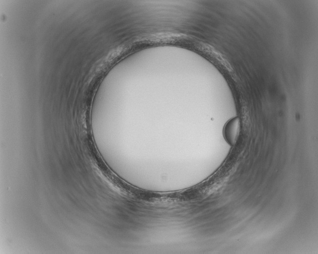 X0000070880633200607150147