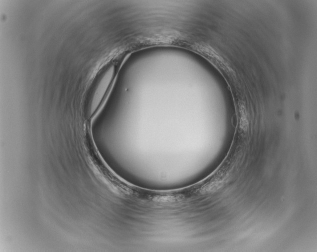 X0000070880634200607150147