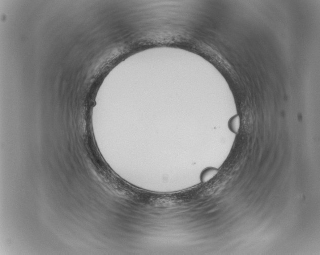 X0000070880635200607150147