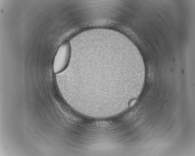 X0000070880636200607150147