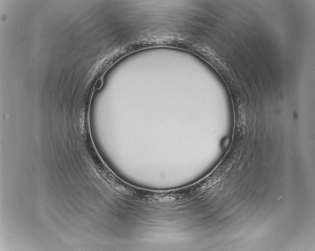 X0000070880640200607150147