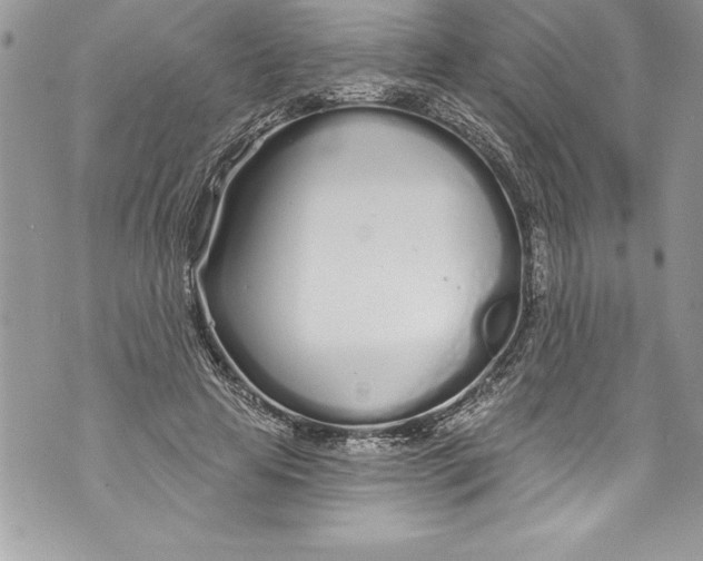 X0000070880641200607150147