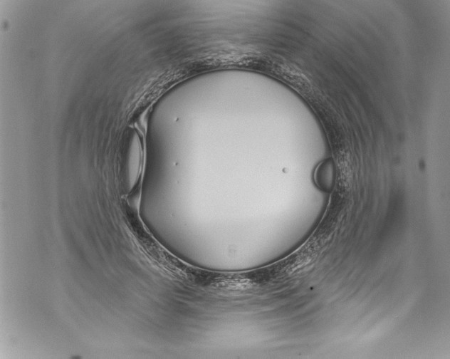 X0000070880642200607150147