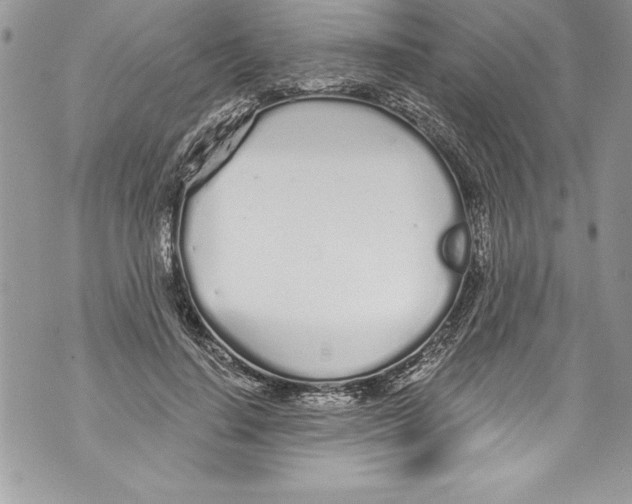 X0000070880644200607150147