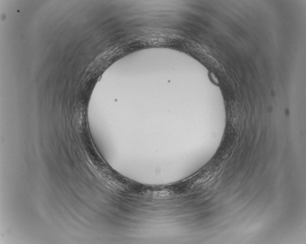 X0000070880645200607150147