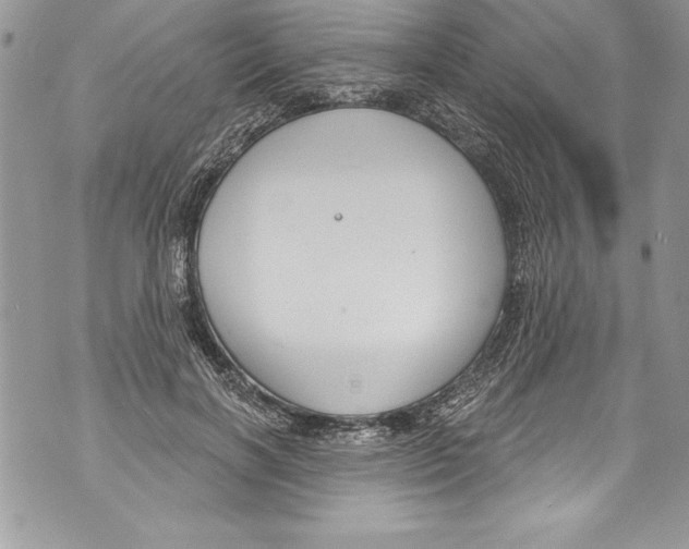 X0000070880646200607150147