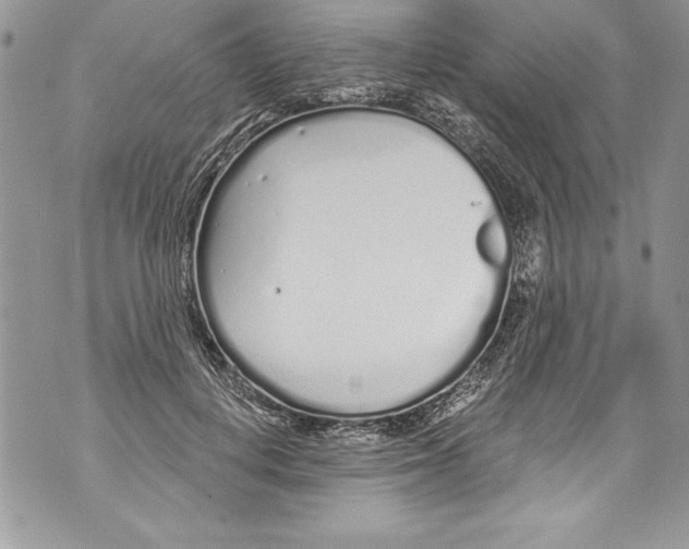 X0000070880648200607150147