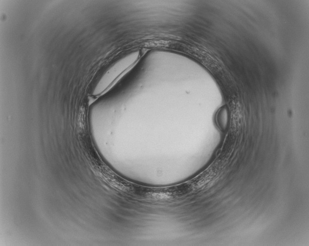 X0000070880649200607150147