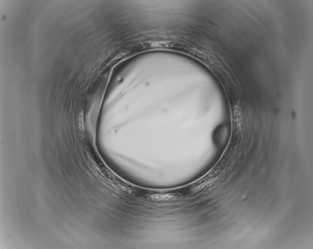 X0000070880650200607150147