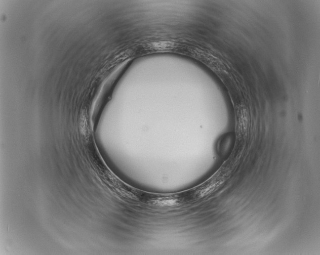 X0000070880651200607150147