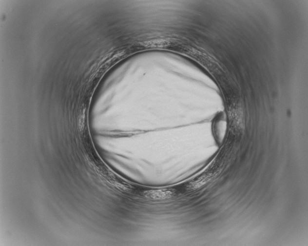 X0000070880652200607150147