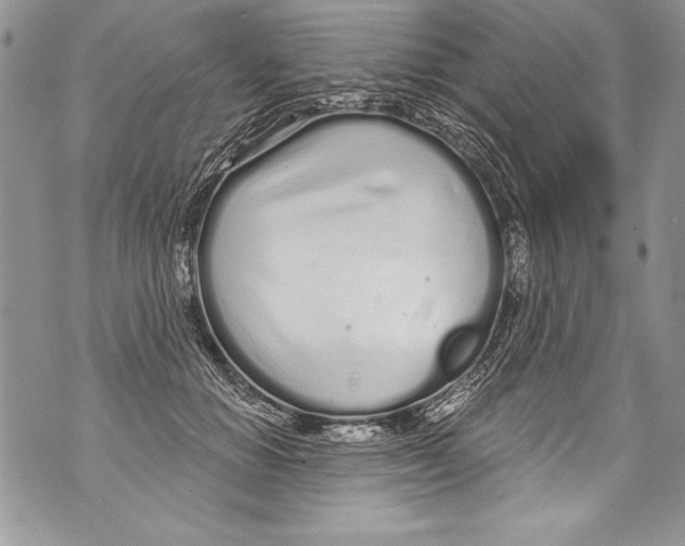 X0000070880654200607150147