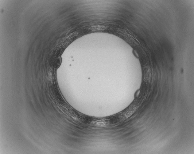 X0000070880655200607150147