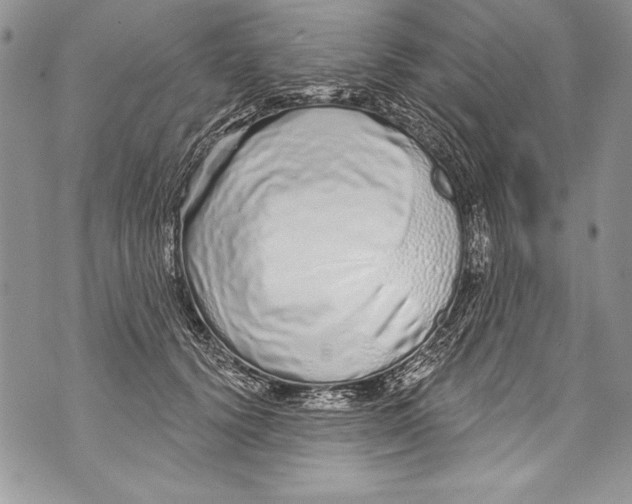 X0000070880656200607150147