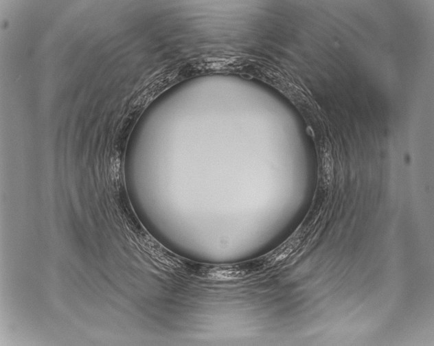 X0000070880657200607150147