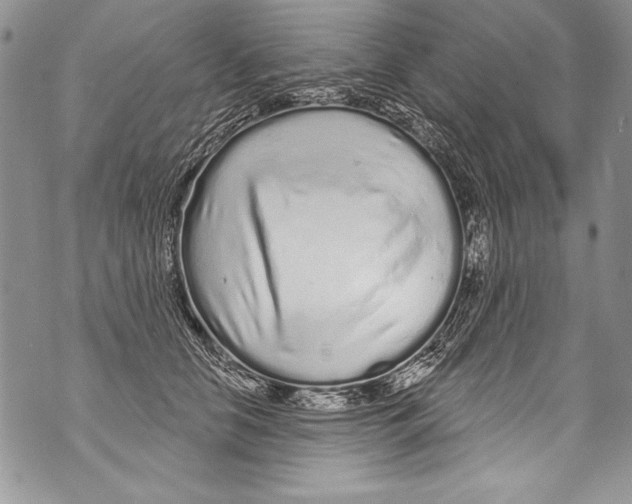 X0000070880658200607150147