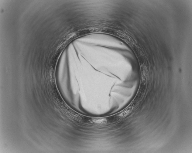 X0000070880659200607150147