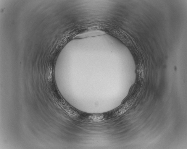 X0000070880660200607150147