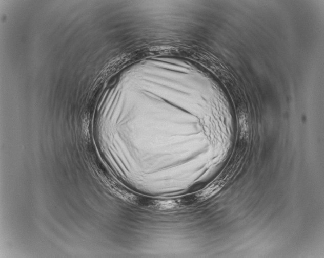 X0000070880662200607150147